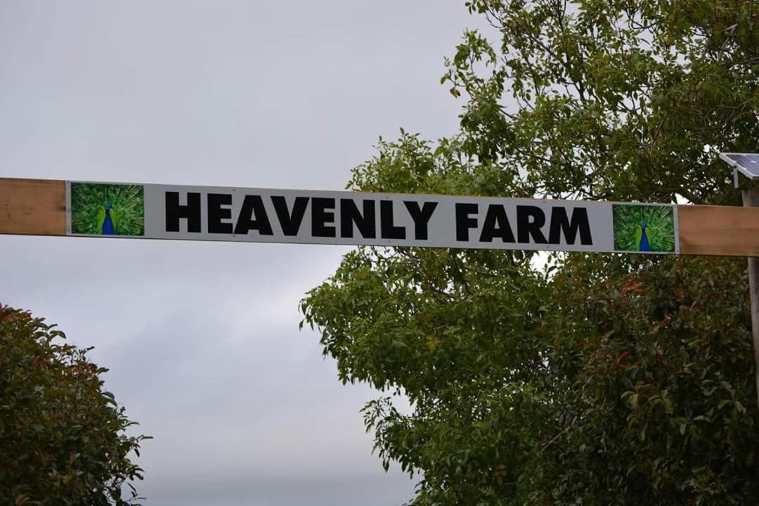 Heavenly Farm B & B Tasmania โบ๊ตฮาเบอร์ ภายนอก รูปภาพ